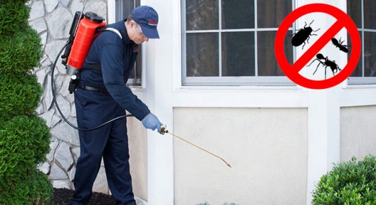 Mucur Böcek İlaçlama böcek ilaçlama ve haşere kontrolü — ilaclama-tr.com